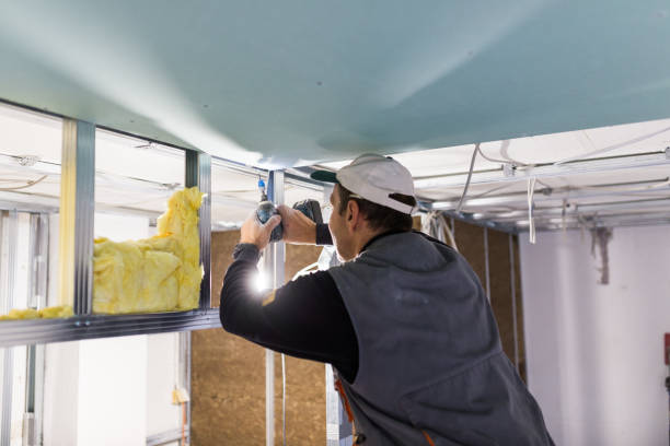 Best Specialized Insulation Services in Mahnomen, MN